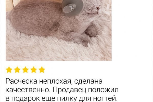 Кракен не работает сайт