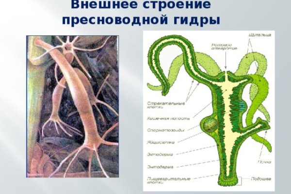 Кракен сайт как зайти
