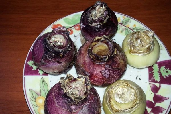 Kraken onion сайта