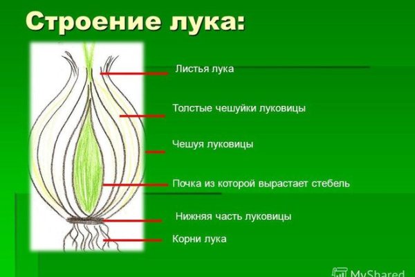 Площадки в даркнете