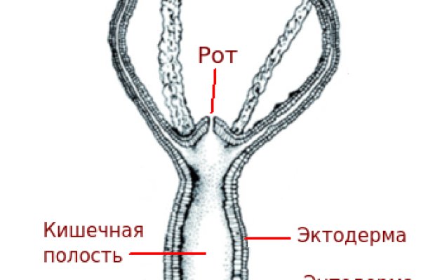 Кракен ссылка тор