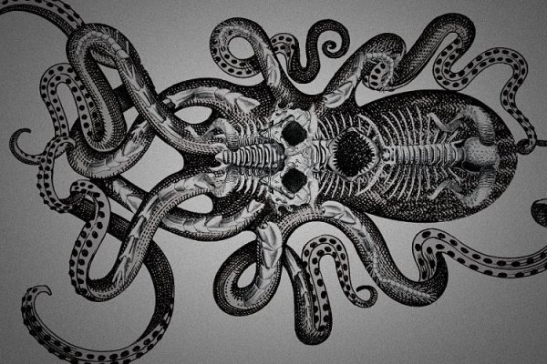 Kraken13at