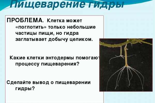 Кракен адрес тор