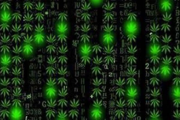 Kraken официальная ссылка